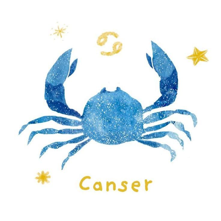 2026年12星座運勢預測：轉折期時最重要的是保持彈性