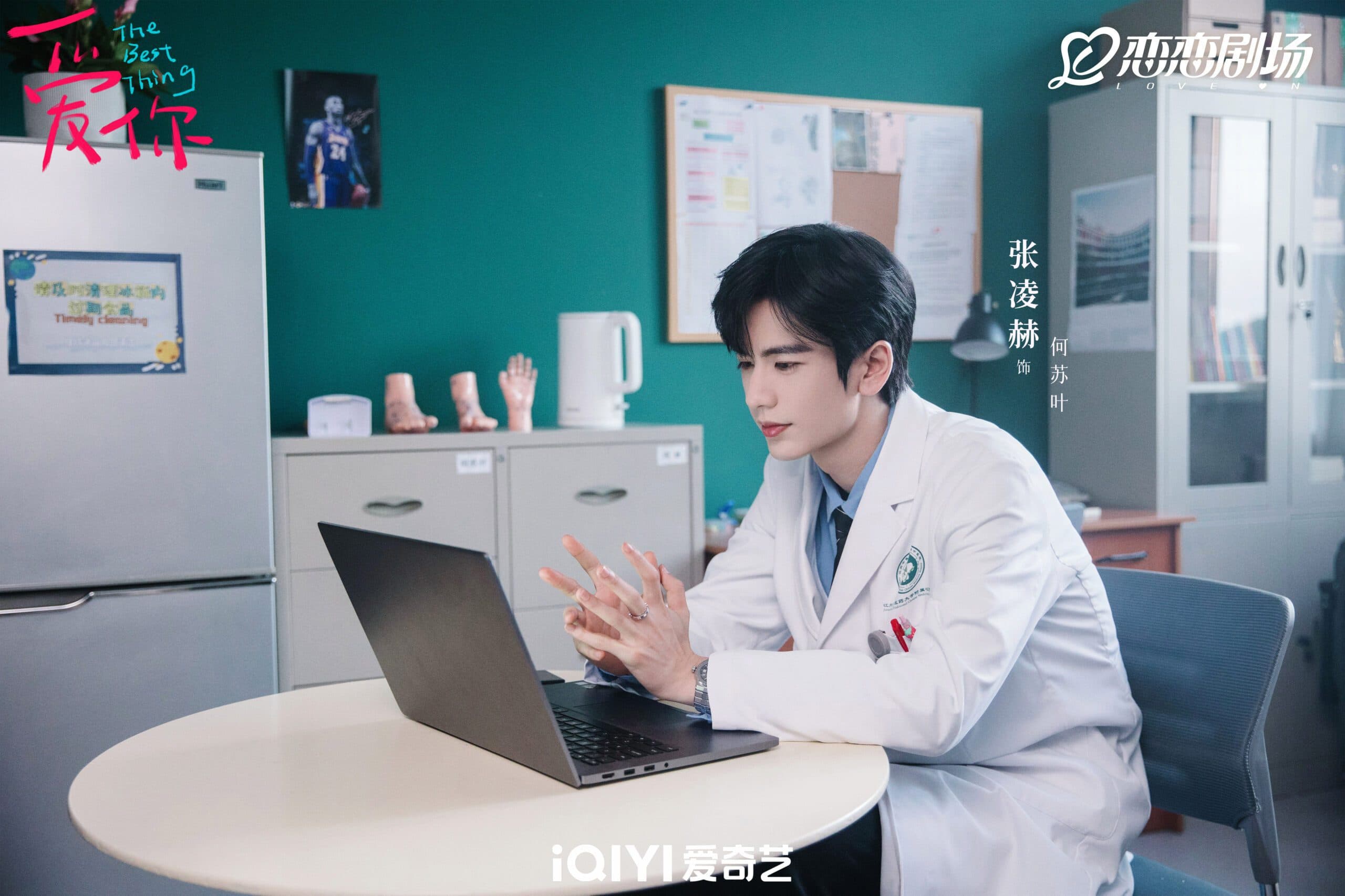 《愛你》中出現的藥材是否真的有用?沒有男神中醫何蘇葉但有蘇葉助你養生!