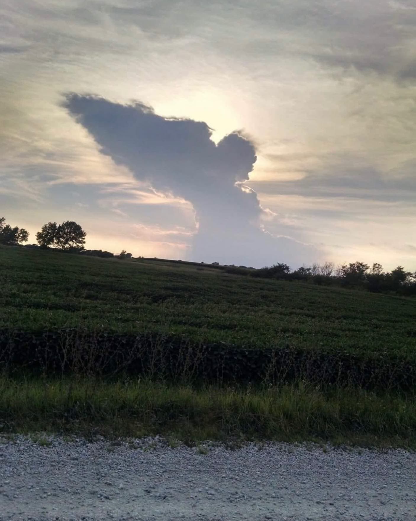 甚麼是天使數字?常常看到「1111」這組數字是巧合嗎?為你解構生活中來自宇宙的神秘訊息!