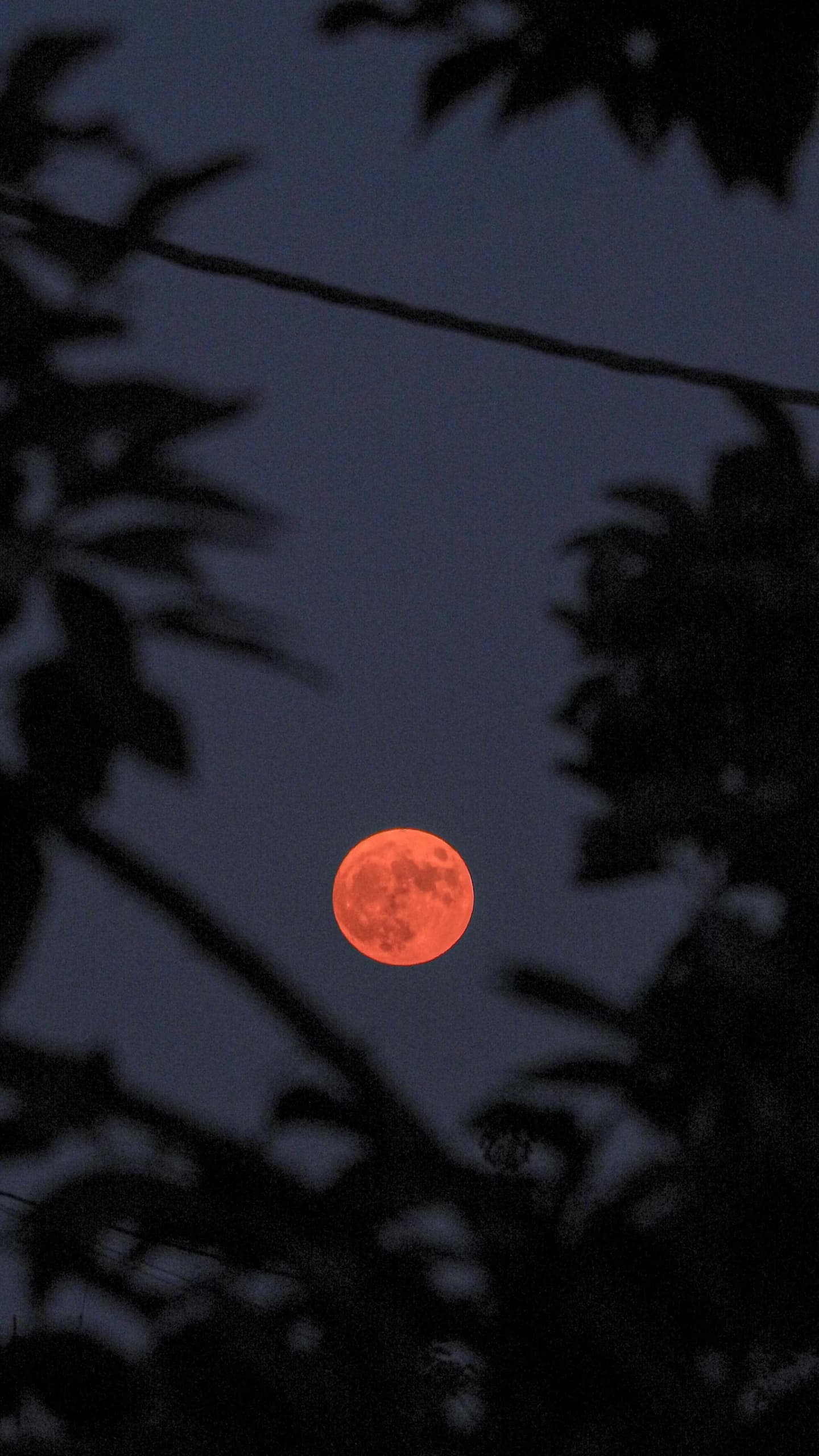 草莓滿月即將登場!應如何在仲夏的這天許下甜蜜願望?