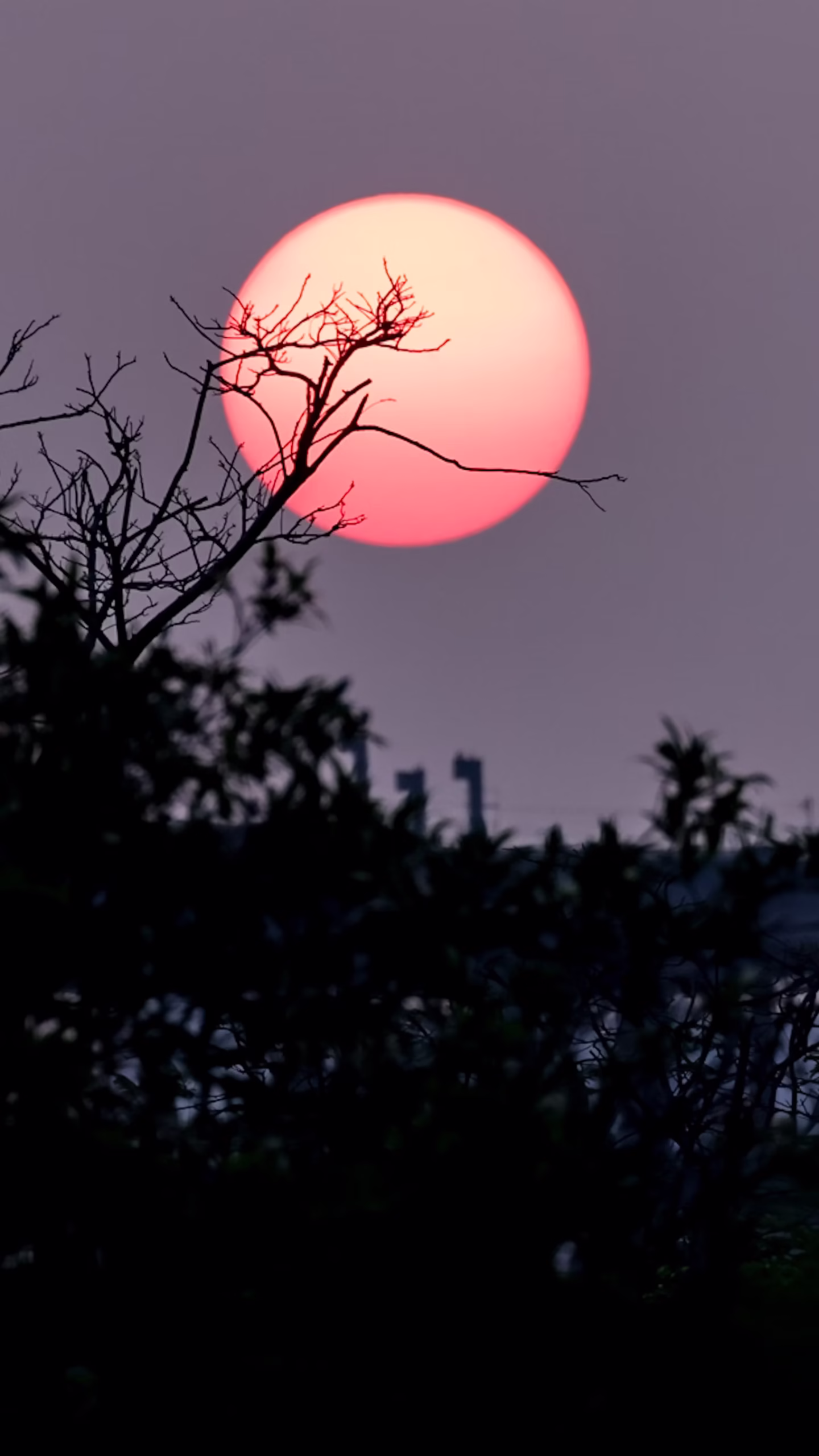 草莓滿月即將登場!應如何在仲夏的這天許下甜蜜願望?